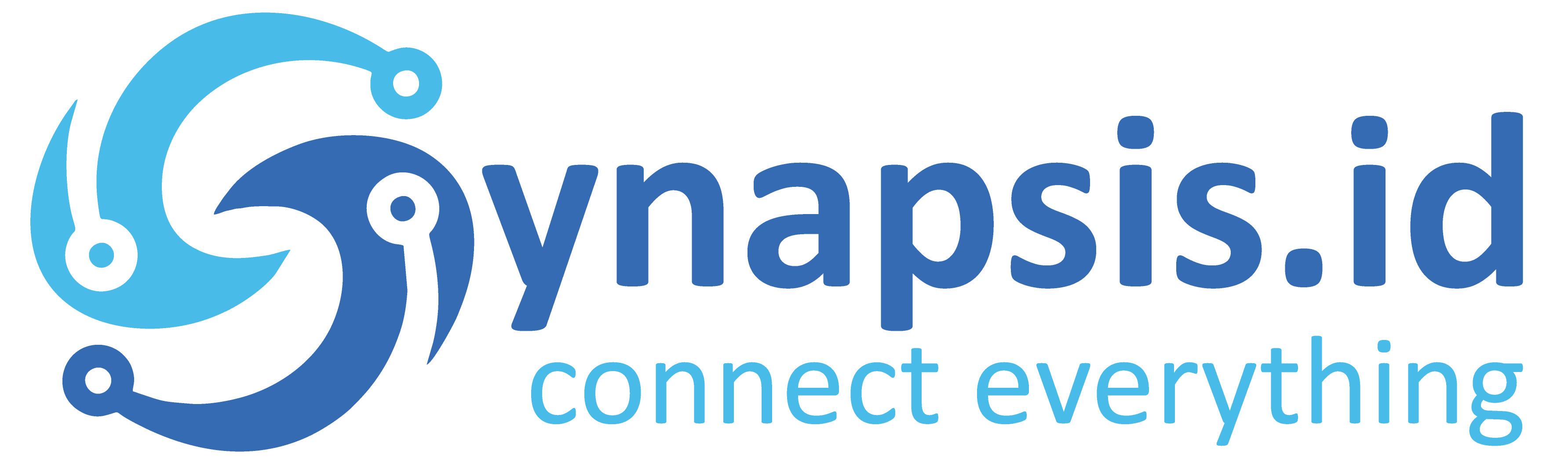 Synapsis